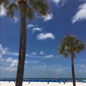 Meet your Posher, Agnes